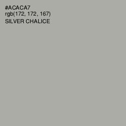 #ACACA7 - Silver Chalice Color Image